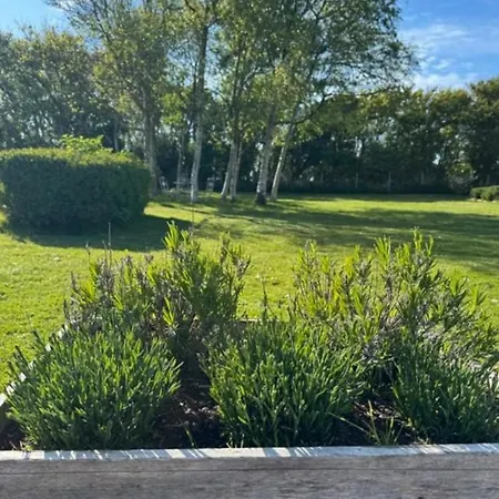 Artist With Private In West Jutland Holiday home *